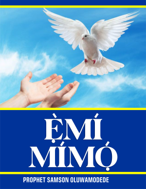 EMI MIMO
