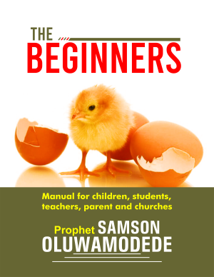 THE BEGINNERS